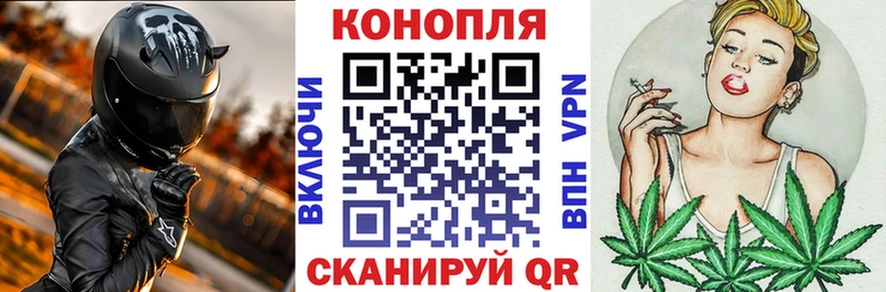 Бошки Шишки конопля  Шилка 